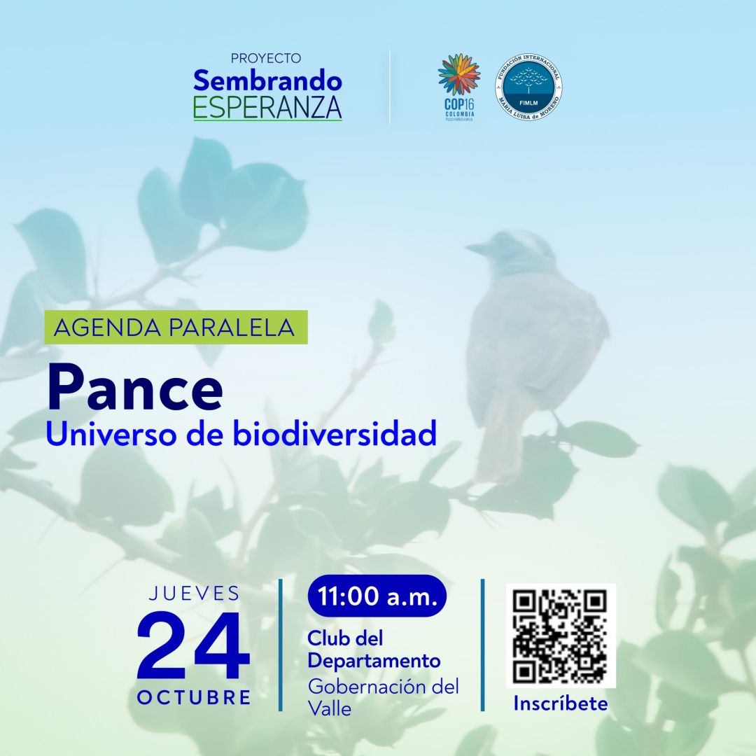 Pance-24-de-Octubre